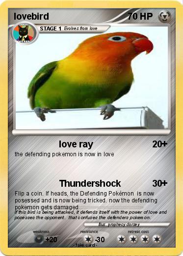 Pokemon lovebird