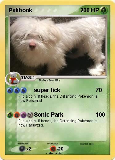 Pokemon Pakbook