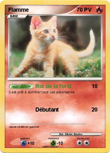 Pokemon Flamme