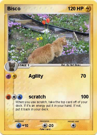 Pokemon Bisco