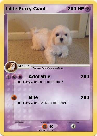 Pokemon Little Furry Giant