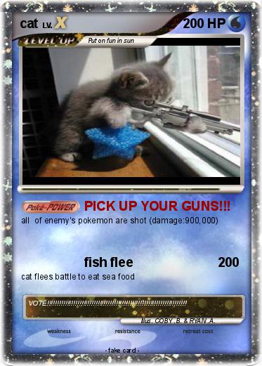 Pokemon cat