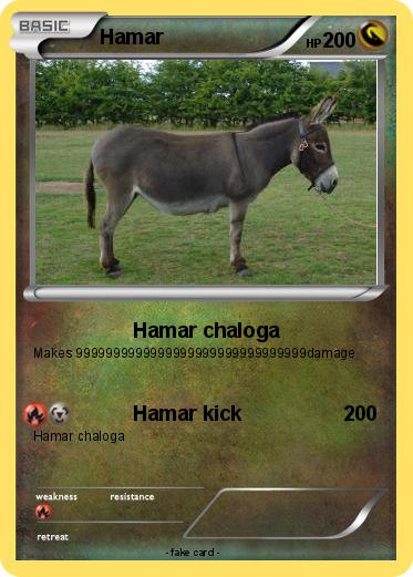 Pokemon Hamar