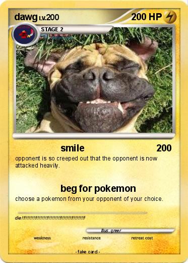 Pokemon dawg