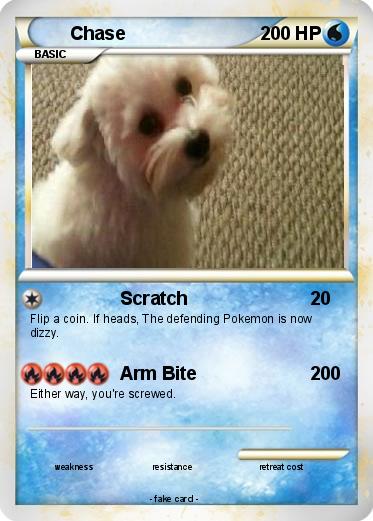 Pokemon Chase