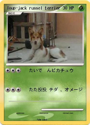 Pokemon loup-jack russel terrier