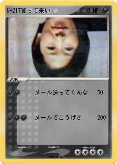 Pokemon NH217買って来い