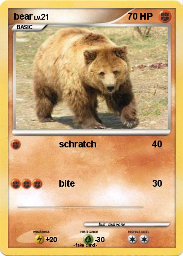 Pokemon bear