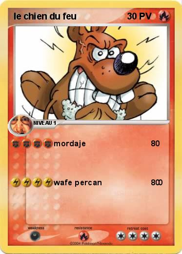 Pokemon le chien du feu 
