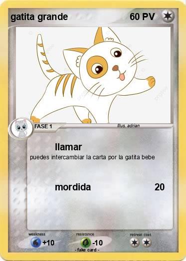 Pokemon gatita grande
