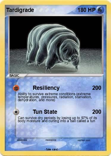 Pokemon Tardigrade