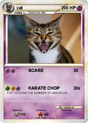 Pokemon cat