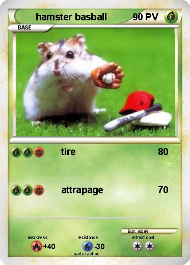 Pokemon hamster basball