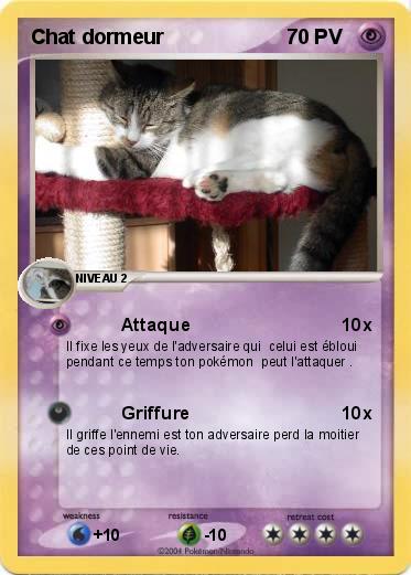 Pokemon Chat dormeur
