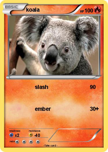 Pokemon koala