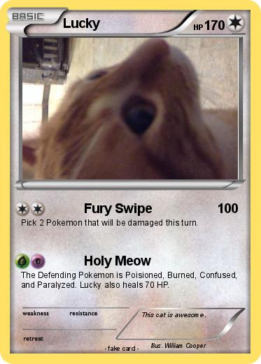 Pokemon Lucky