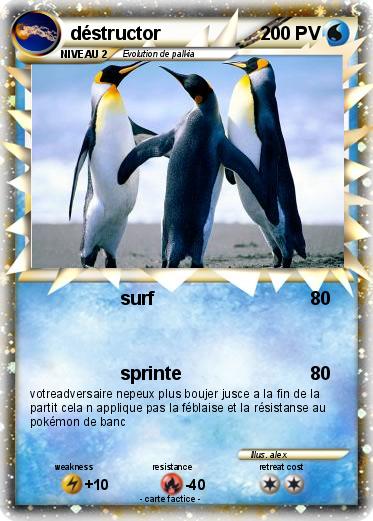 Pokemon déstructor