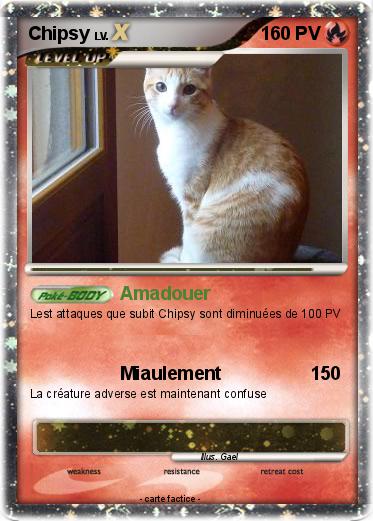Pokemon Chipsy