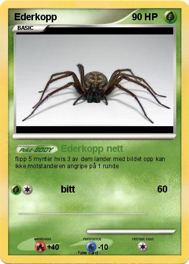 Pokemon Ederkopp