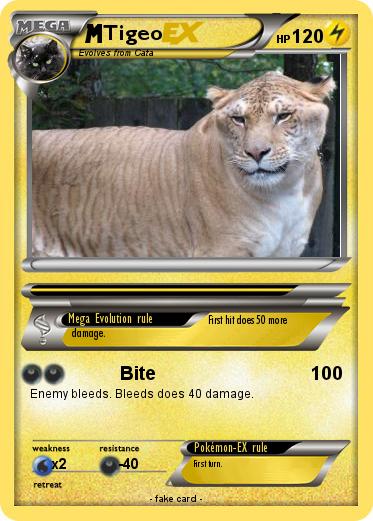 Pokemon Tigeo