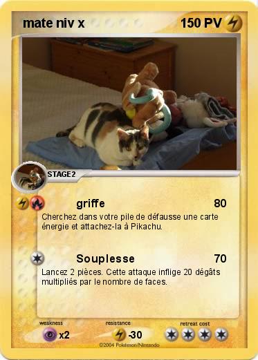 Pokemon  mate niv x