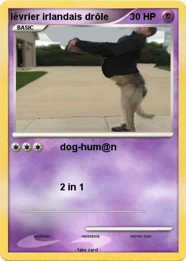 Pokemon lévrier irlandais drôle