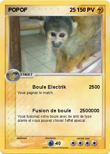 Pokemon POPOF                            25