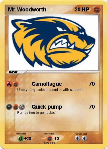Pokemon Mr. Woodworth