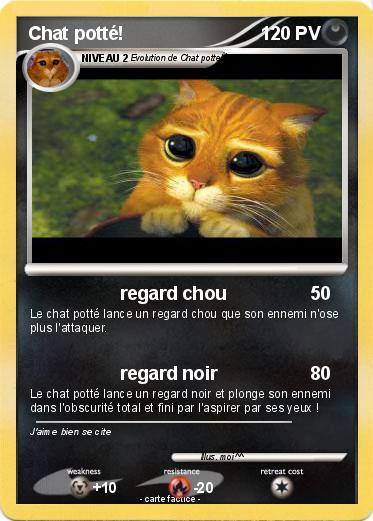 Pokemon Chat potté!