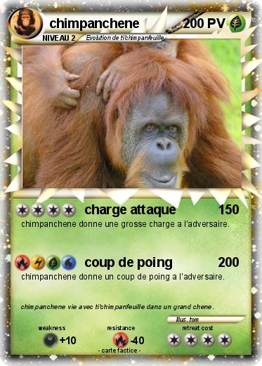Pokemon chimpanchene