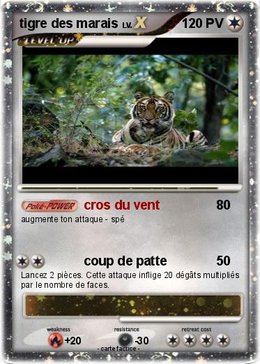 Pokemon tigre des marais