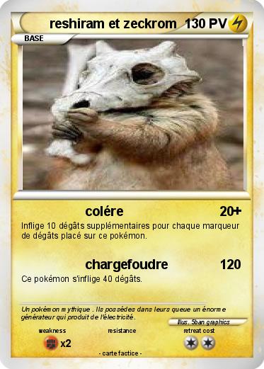 Pokemon reshiram et zeckrom