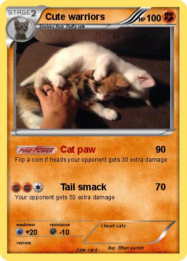 Pokemon Cute warriors