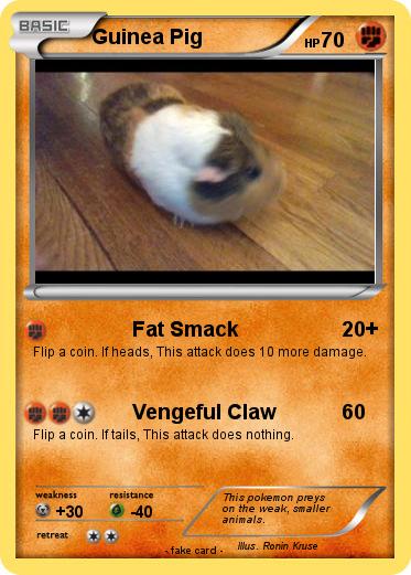 Pokemon Guinea Pig