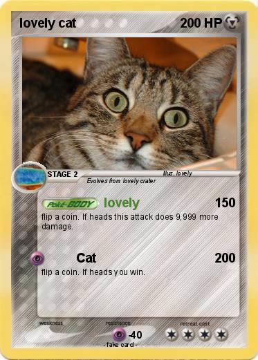 Pokemon lovely cat