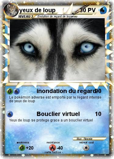 Pokemon yeux de loup