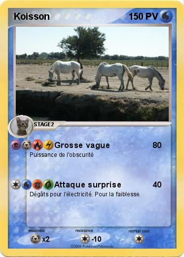Pokemon Koisson