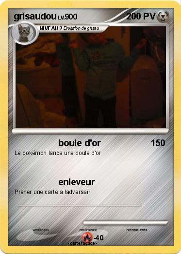 Pokemon grisaudou