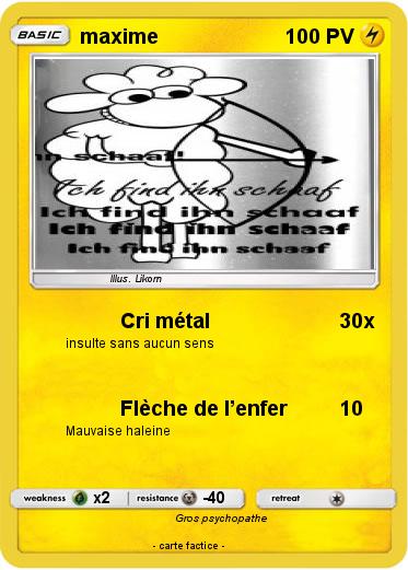 Pokemon maxime