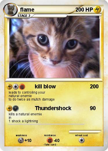 Pokemon flame