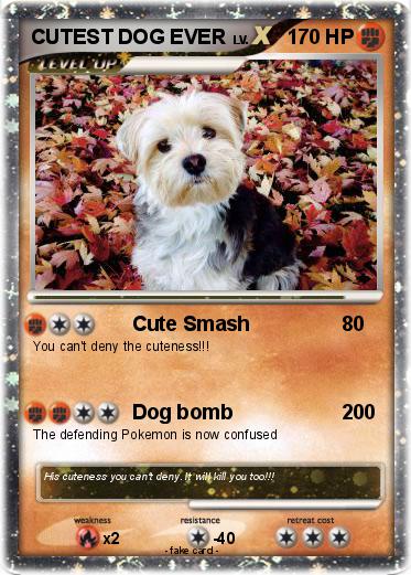 Pokemon CUTEST DOG EVER