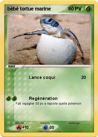 Pokemon bébé tortue marine