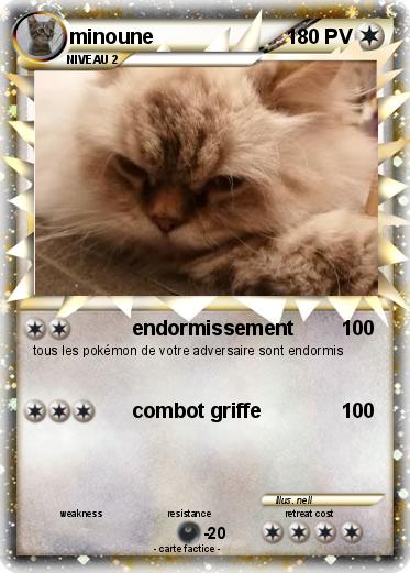 Pokemon minoune