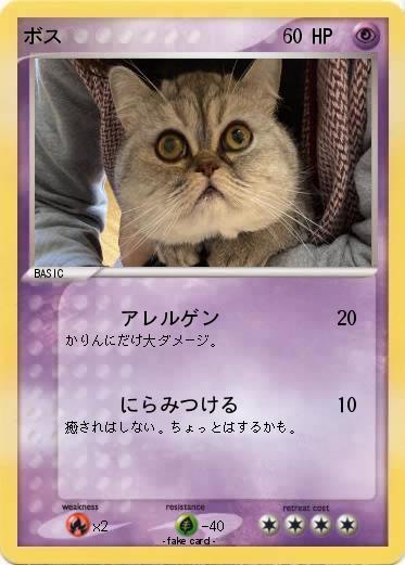 Pokemon ボス