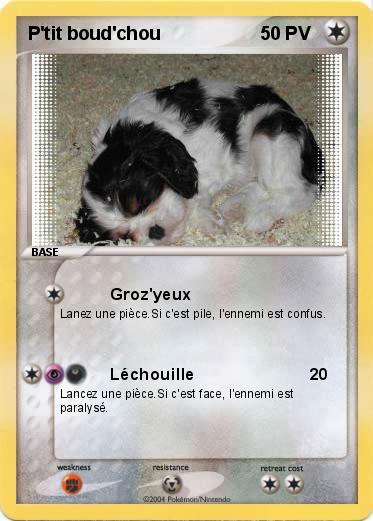 Pokemon P'tit boud'chou
