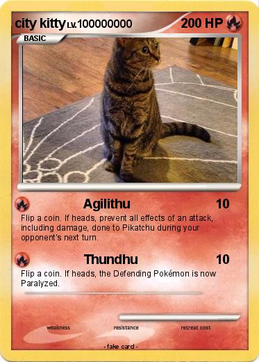 Pokemon city kitty