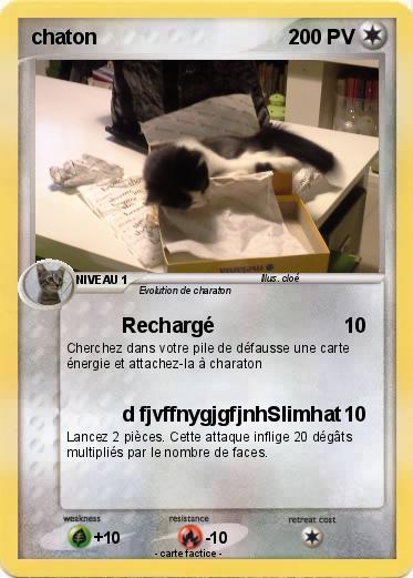 Pokemon chaton