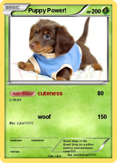 Pokemon Puppy Power!