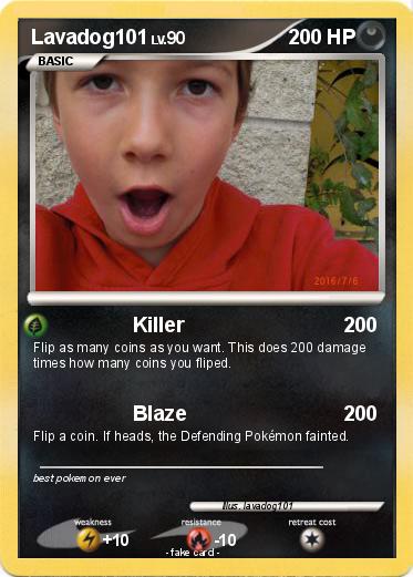 Pokemon Lavadog101