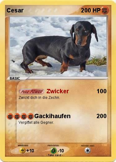 Pokemon Cesar